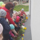 Экскурсионный маршрут «Прогулки по родному городу с маленьким гидом» 